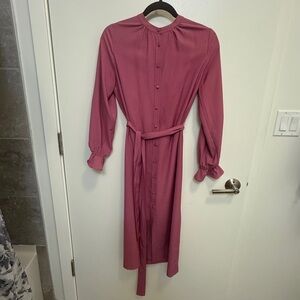 Elegant J Crew Pink Button-Down Dress